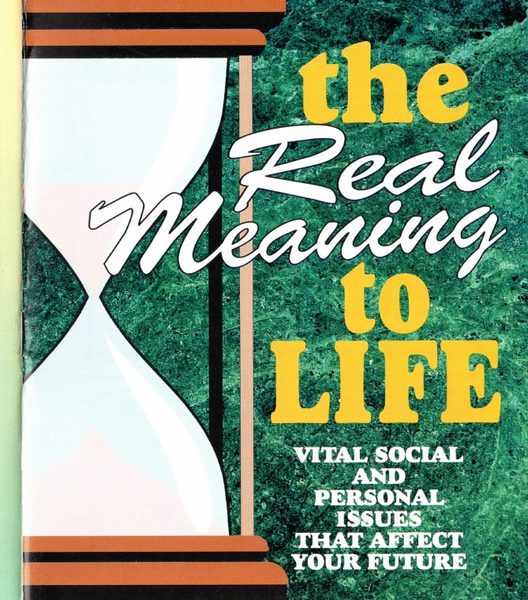 Cover of The Real Meaning to Life