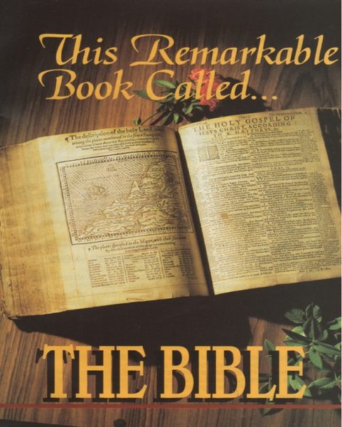 Cover of This Remarkable Book Called The Bible